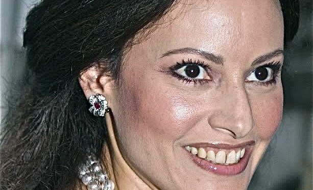 Carina Axelsson Announces the Release Date of Her Long Awaited Novel.