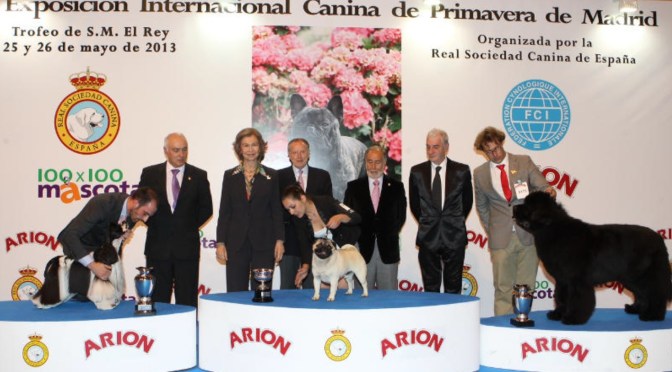 Her Majesty Queen Sofia of Spain Attends the 85th Exposición Internacional Canina de Primavera.