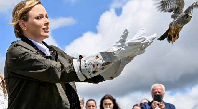 Princess Charlene of Monaco Releases Rehabilitated Red-Footed Falcon in France and Announces a New Wildlife Patronage